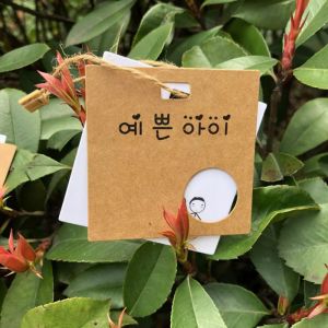 Buy cheap Eco Friendly Gift Kraft Paperboard Personalized Hang Tag CMYK 4C from wholesalers