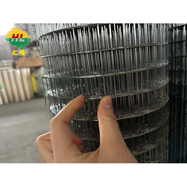Quality 25.4*25.4mm Galvanised Wire Mesh Roll Bright Silver for sale
