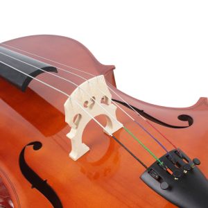 Buy cheap Cheap Price Hand Made Solid Spruce Cellos in China The front panel of the cello is almost entirely chiseled from solid s from wholesalers