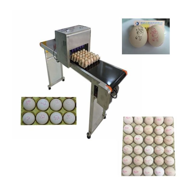 Quality Automatic Egg Code Printing Machine , Small Character Inkjet Coder For Eggs for sale