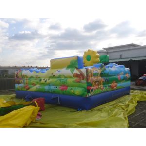 Mini Inflatable Amusement Park / Inflatable Castle with Full Digital Printing