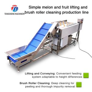 Buy cheap Orange Potato Onions Ginger Potato Carrot Taro Sweet potato Yam Saiko persimmon papaya horseshoe Simple melon and fruit lifting and brush roller from wholesalers