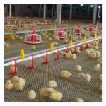 Buy cheap Chicken Coop Automatic Poultry Farm Equipment With Ventilation System from wholesalers