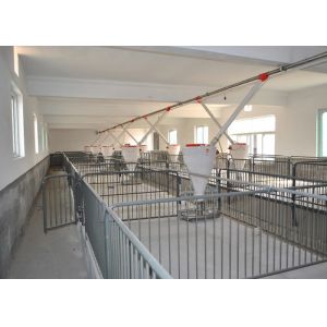 Hot Dip Galvanized Piggery Farm Equipment PVC board Weaner Raised Farrowing