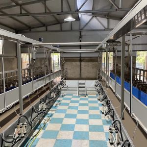 Buy cheap Digital Electric Meter Sheep Goat Milking Parlour New Condition Equipment from wholesalers