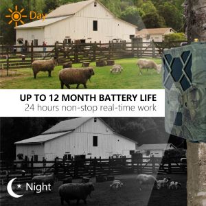 Experience Unmatched Performance with 4G Trail Camera The Perfect Solution for