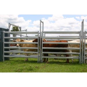 Buy cheap Heavy Duty 30pcs Bundle Heavy Duty Portable Corral Panels For Cattle & Gate for Au from wholesalers