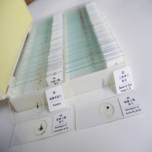 Students Education 100pcs Set Professional Prepared Microscope Slides In Plastic