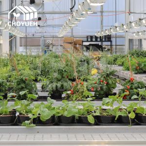 Hydroponics Growing System Greenhouse Benches 4x8 Rolling Grow Tables