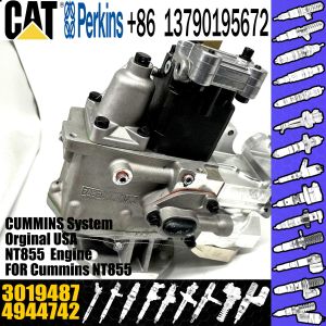 Buy cheap NT855 engine PT fuel Injection Pump 4944742 6P1168 4951501 3019487 from wholesalers