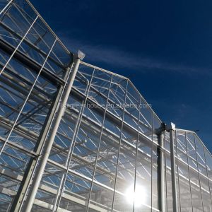 Buy cheap 4.0m-6.0m Gutter Height Commercial Glass Greenhouse for Vegetable Flower from wholesalers