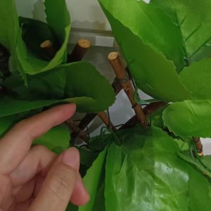 Buy cheap Artificial Fence Telescopic Hedge Plastic Fence Garden For Outdoor Decoration from wholesalers