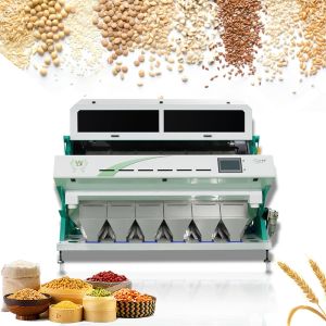 Buy cheap High frequency 6 Chutes Pumpkin Coriander Chili Seeds Color Sorting Machines CE certifited from wholesalers