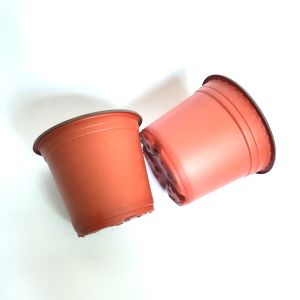 Double Color Plastic Nursery Pot For Flower / Green Plant