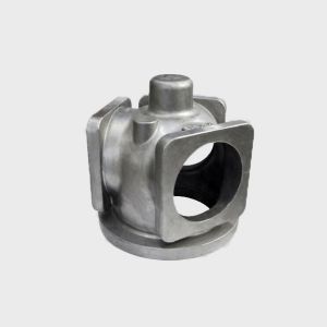SS304 Custom Investment Casting CNC Machined Powder Coating Exhaust Valve
