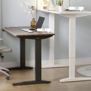 80 kgs Weight Capacity 6ft x 8ft Italian Electric Column Standing Desk for Home