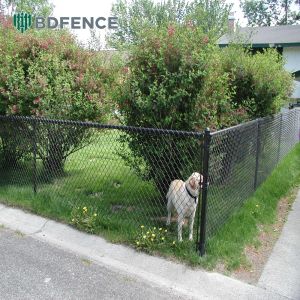 Buy cheap Dog Playpen Chain Link Fence Chew-Proof Edging from wholesalers