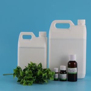 Organic Cool Mint Fragrance Essence Oil with Herbal Extract for Toothpast Making