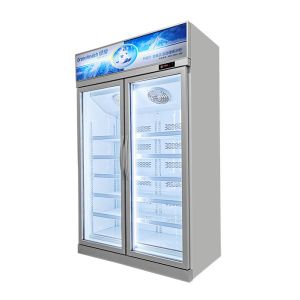 Glass Door multifunctional Commercial Upright Freezer Display For Beverage And
