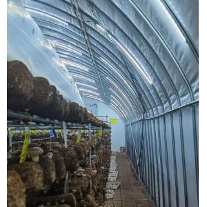 Buy cheap Modern Sunlight Glass Greenhouse with Automatic Irrigation System from wholesalers