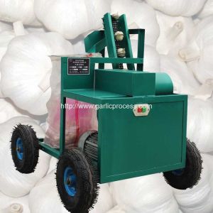 Buy cheap Automatic Discharging Fresh Garlic Root and Leaf Cutting Machine from wholesalers