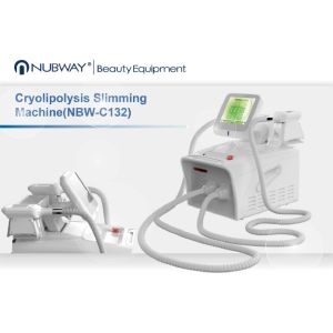 Buy cheap Portable Cryolipolysis Cool Shaping Body Shaper Liposuction Machine from wholesalers