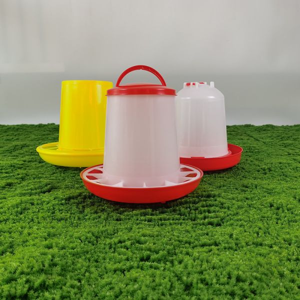 Quality Freestanding Cylinder Poultry Feeder For Chickens Ducks Geese Turkeys for sale