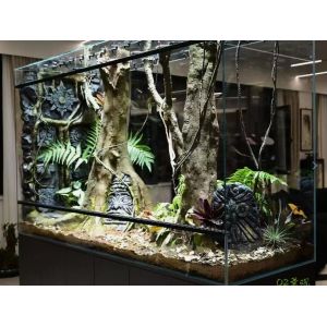 Simulation 3D Reptile Terrarium Background Easy Cutting Reptile Rock Background