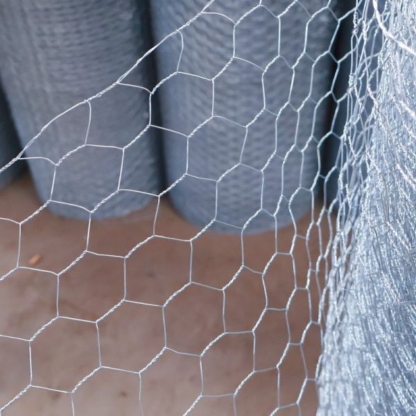 Quality BWG21X3/4" Galvanized Hexagonal Wire Mesh Roll Chicken Net For For Chicken Coop for sale
