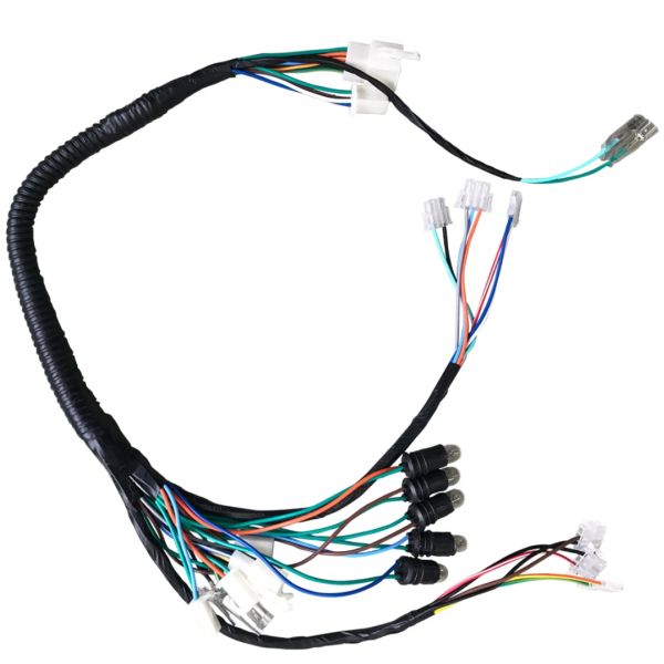 Design 2pin-50pin Wire Harness for Power Supply Customised Assembly of Energy Car