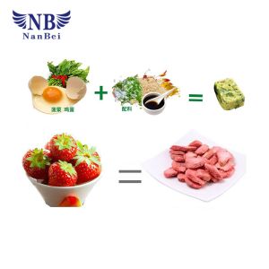 Refrigerated Lab Freeze Dryer Research Lab Equipment 750 W Power