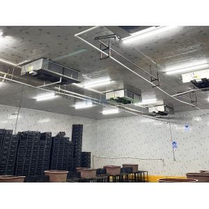 Buy cheap Sorting And Packing Room With Cooling System For Vegetable Warehouse product