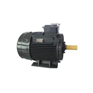 Buy cheap Cast Iron Asynchronous Inverter Motors Three Phase Inverter Duty from wholesalers