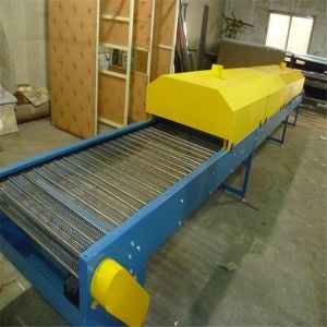 Conveyor Belt Conveyor Can Be Used to Transport Seedling Containers