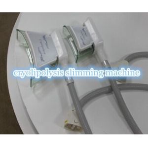 Four handles Cryolipolysis / coolshape body slimming machine / fat freezing