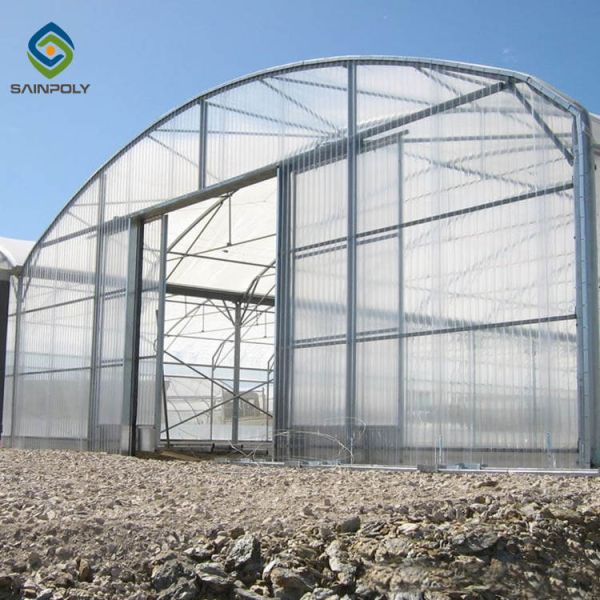 Quality Commercial Multi Span Greenhouse Galvanized Steel PC Sheet Span 12m for sale