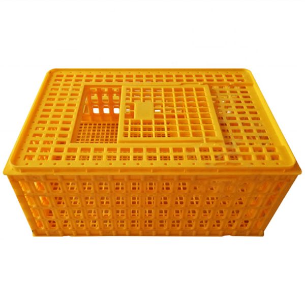 Buy cheap Poultry Broiler Quail Pigeon Plastic Chicken Transport Cages from wholesalers