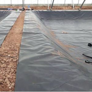 1.5mm HDPE Geomembrane for Artificial Lake Leak-proof Water Tank Pond Liner Dam