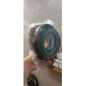 SP201471 Boom Cylinder Repair Kit CLG855 CLG922