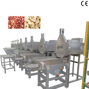 Buy cheap Full Automatic High Blanching Rate Peanut Slitting Blanching Machine from wholesalers