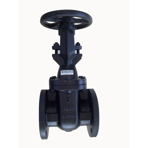 Quality (ANSI) Cast Iron Gate Valve O&Y flanged ends for sale