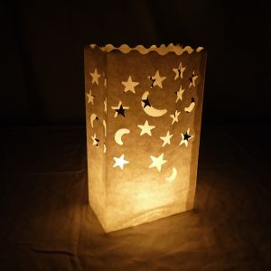 Buy cheap Star Moon Paper Luminaries Bag (10 Pack) from wholesalers