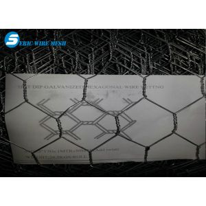 Hexagonal Wire Mesh/Hexagonal Wire Netting/Gabion Mesh