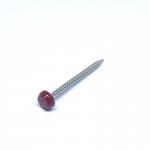 Buy cheap OEM Polished Ring Shank Plastic Head Nails Nylon PA6 UV Stable Round Head from wholesalers