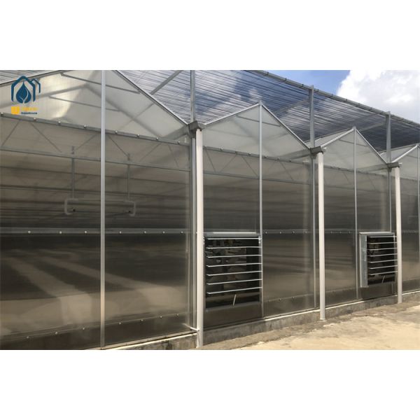 Organic Herb Greenhouse Polycarbonate Polyhouse With Automated Climate Control