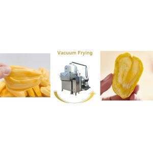 Buy cheap Stainless Steel Jackfruit Chips Making Machine With Stable Vacuum Condition from wholesalers