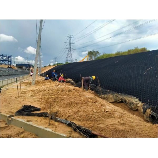 Quality 150mm Plastic Honeycomb HDPE 3D Geocell For Pond for sale