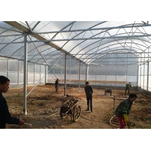 Buy cheap Industrial Flower Commercial High Tunnel Greenhouse With Fixed Roof Windows from wholesalers