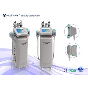 Buy cheap Nubway cryolipolysys cavitation rf vacuum slimming beauty cryolipolysis machine from wholesalers