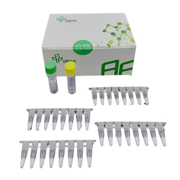 Buy cheap Conveniently Test RNA Isothermal PCR Kit At Home Reagent Buffer from wholesalers